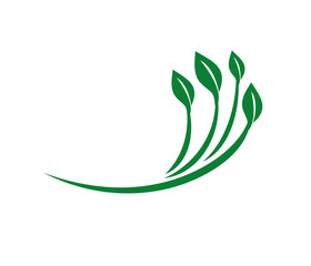 nature herbal organic leaf vector logo design