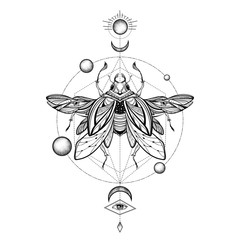 Beetle bug tattoo drawing. Scarab bug illustration
