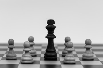 Chess pieces on a chess board with the king and pawns