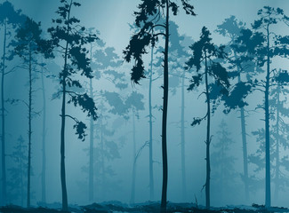 Fototapeta premium natural background with a silhouette of a pine forest, vector illustration