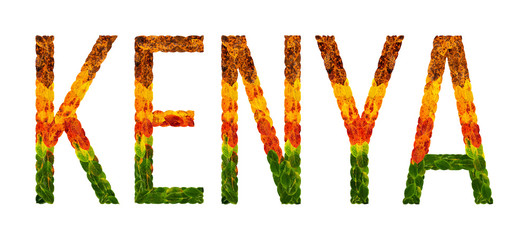 word kenya country is written with leaves on a white insulated background, a banner for printing, a creative developing country colored leaves kenya