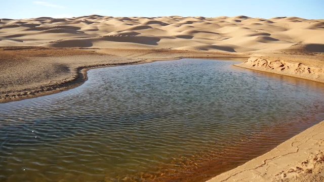 Acqua nel deserto oasi Ain Ouadette nel Sahara