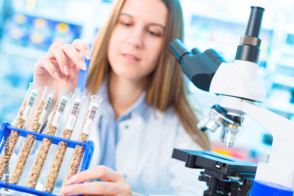 Wall mural Selective and genetic work with seeds and grains in a scientific laboratory. Food quality control