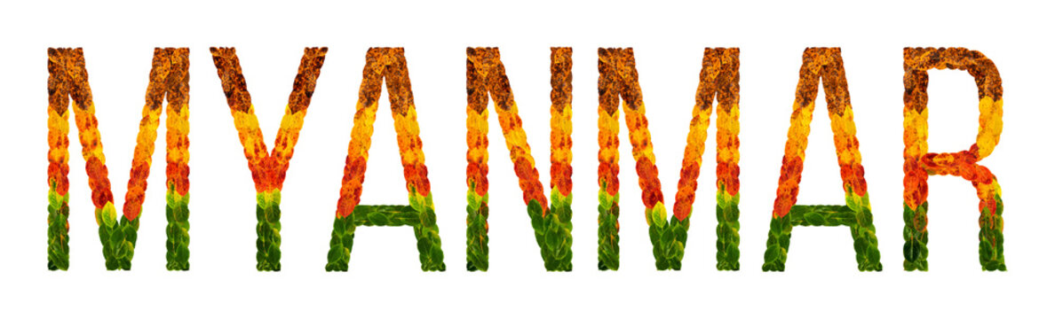 word myanmar country is written with leaves on a white insulated background, a banner for printing, a creative developing country colored leaves myanmar
