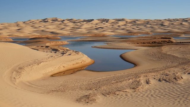 Acqua nel deserto oasi Ain Ouadette nel Sahara