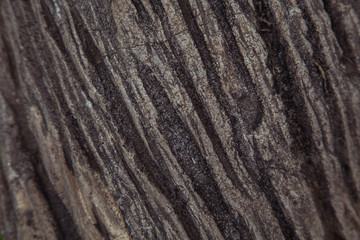 grains on wood background Thailand , Chaing Mai