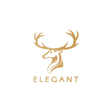 Deer logo. Elegant deer logotype. 