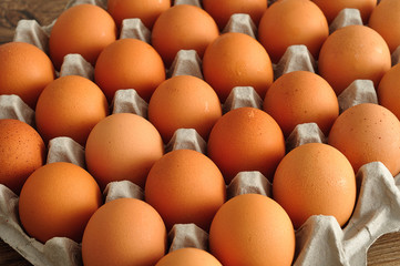 Eggs displayed in a container