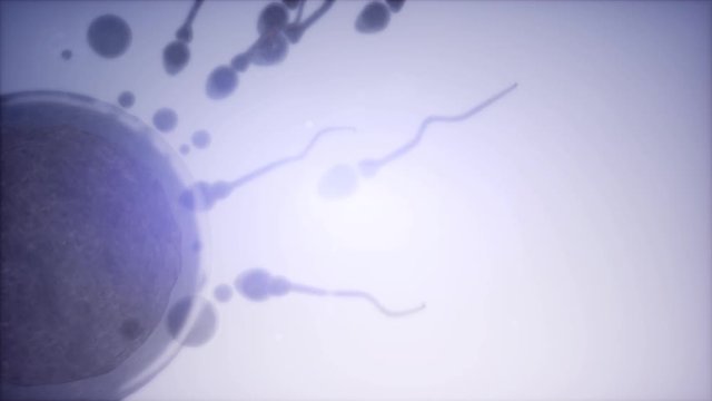 sperm and egg cell. frosen microscopic research