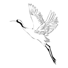 Vector watercolor set of illustrations bird crane. White stork . isolated object
