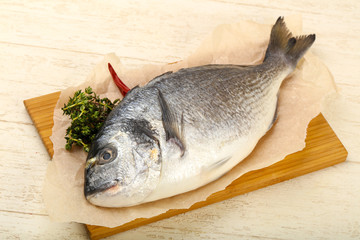 raw dorada fish