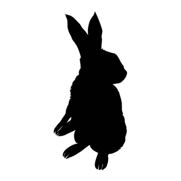 Bunny rodent black silhouette animal
