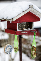 Bird house with seedsin helping feeding in winter time