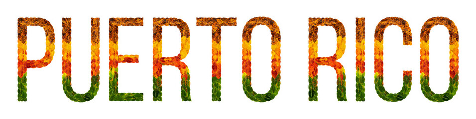 word puerto rico country is written with leaves on a white insulated background, a banner for...