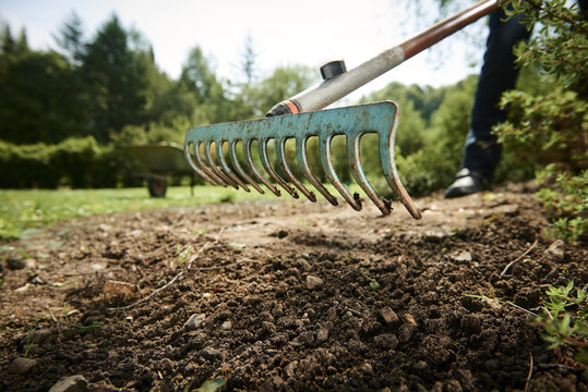Gardening