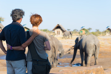 Hugging couple looking at elephant herd drinking from waterhole. Adventure and wildlife safari in Africa. People traveling concept. - obrazy, fototapety, plakaty