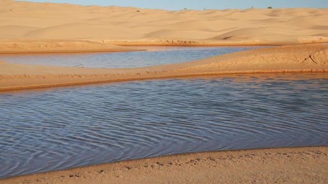 Oasi nel Sahara Ain Ouadette tra le dune di sabbia