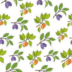 Obraz premium Plum and apricot seamless pattern