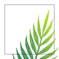 Palm leaf background. Vector blank banner design
