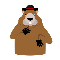 Groundhog Day. Marmot in hat. Rodent aristocrat. Illustration for National holiday