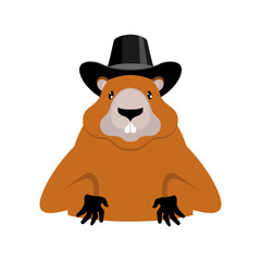 Groundhog Day. Marmot in hat. Rodent aristocrat. Illustration for National holiday