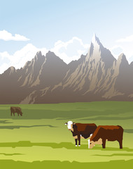 Fototapeta na wymiar Cows in a meadow