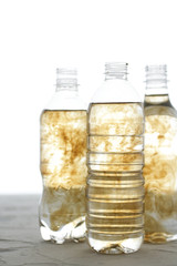 ペットボトルと人間