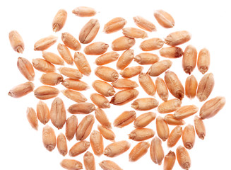 Wheat on white background