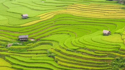 Fotobehang Terrasvormig rijstveld in Noord-Vietnam © Phuong