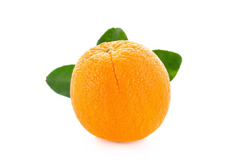 Fresh orange on white background