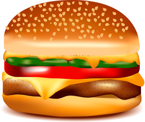 Delicious freshly cooked hamburger with beef and vegetables.