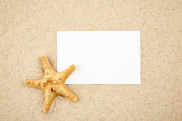Starfish in a sand with blank paper card, text space