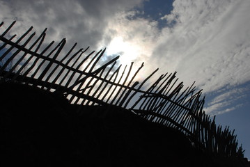 silhouette of  fences