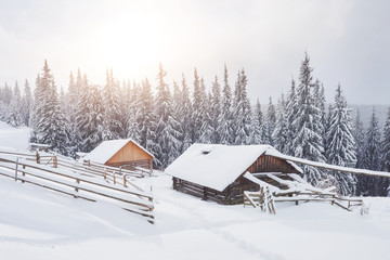 Fototapeta na wymiar Cozy wooden hut high in the snowy mountains. Great pine trees on the background. Abandoned kolyba shepherd. Cloudy day. Carpathian mountains, Ukraine, Europe
