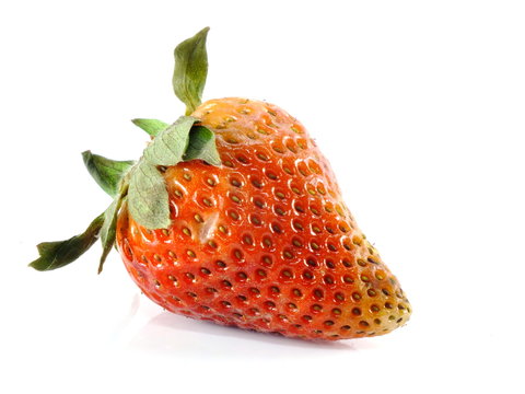 rotten strawberries on white background