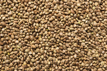 Hanfsamen Hintergrund