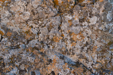 Texture of old stone with moss growing