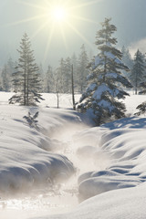 Quelle der Ammer im Graswangtal in Bayern im Winter