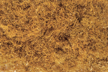 Tobacco yellow smoke pile like texture macro background