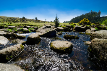 Bellever Forest And Dart River on Dartmoor National Park in Devon, England