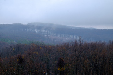 winter forest and hills from above in Hungary - rusty foliage