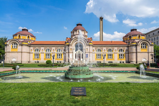 「Sofia」の画像 - 56,978 件の Stock 写真、ベクターおよびビデオ | Adobe Stock