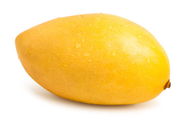 Mango fruit isolated