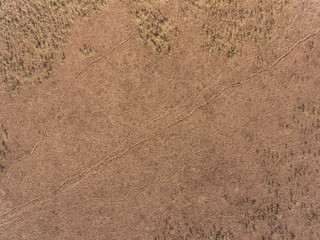 Aerial view over Cepkeliai marsh the largest swamp in Lithuania, in the territory of Dzukija...