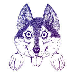 Vector sketch of funny husky or shepherd puppy