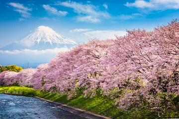 Deurstickers Mount Fuji in het voorjaar © SeanPavonePhoto