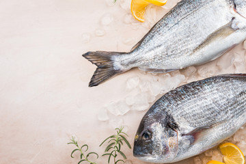 Fresh uncooked dorado