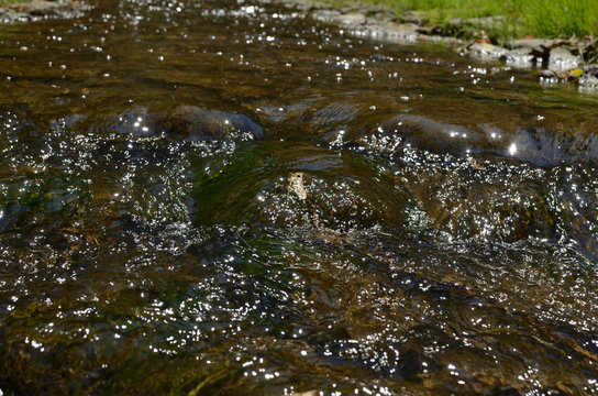 Closeup of rapids of a small fast brook