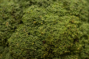 close up view of green ripe raw broccoli