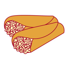 delicious mexican food burrito vector illustration design
